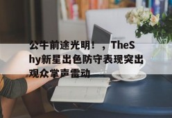 开云棋牌公牛前途光明！，TheShy新星出色防守表现突出观众掌声雷动(公牛 队)